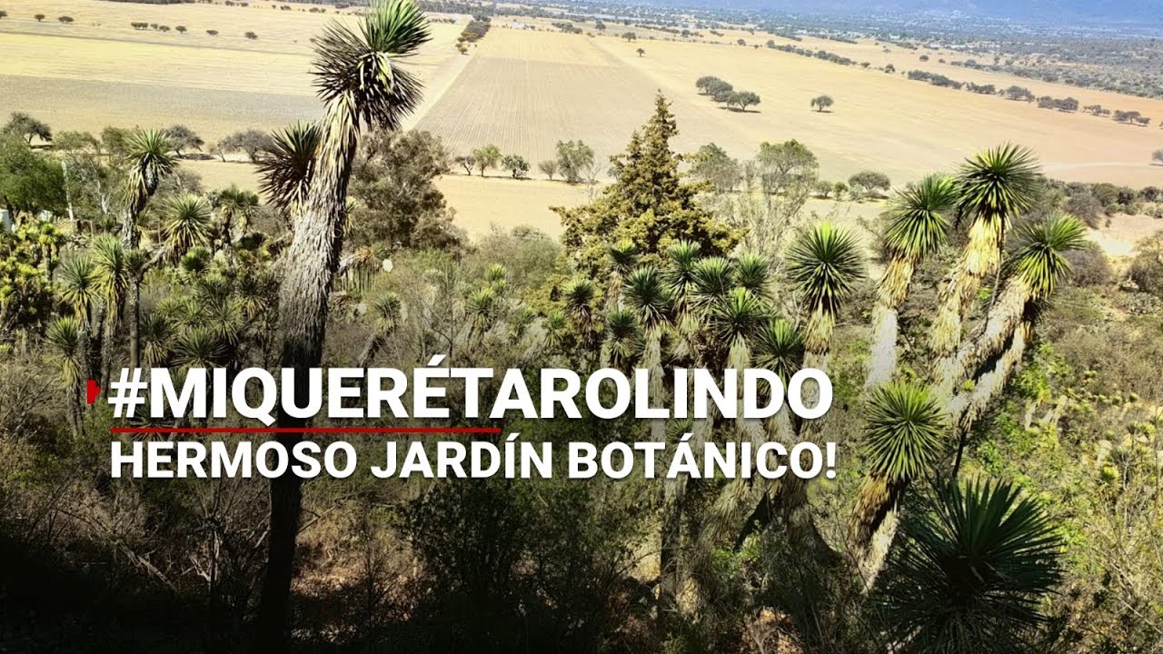 #MiQuerétaroLindo | ¡Un pulmón! Conoce el Jardín Botánico Regional de Cadereyta