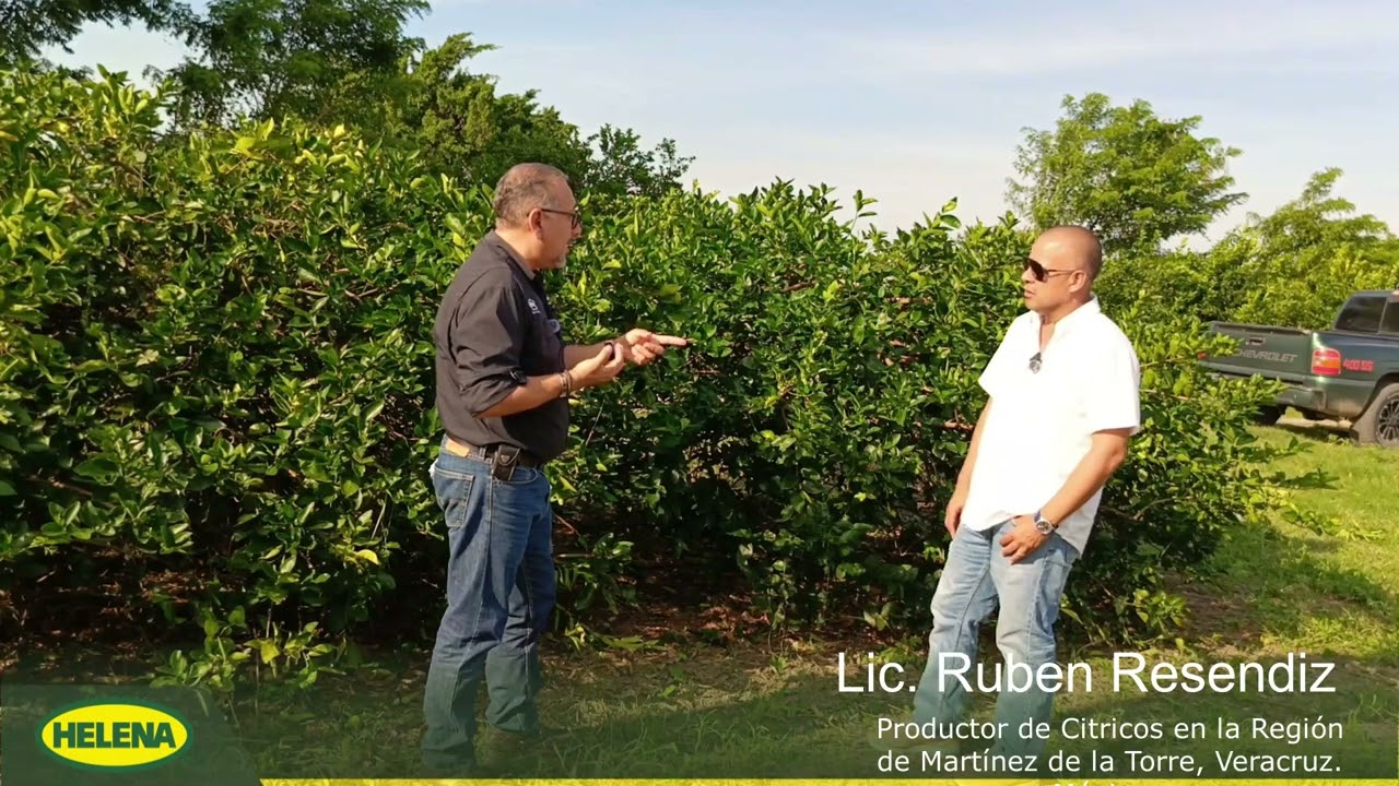 Agentes de Cambio, Lic. Rubén Reséndiz, productor Líder de Cítricos en Veracruz México.