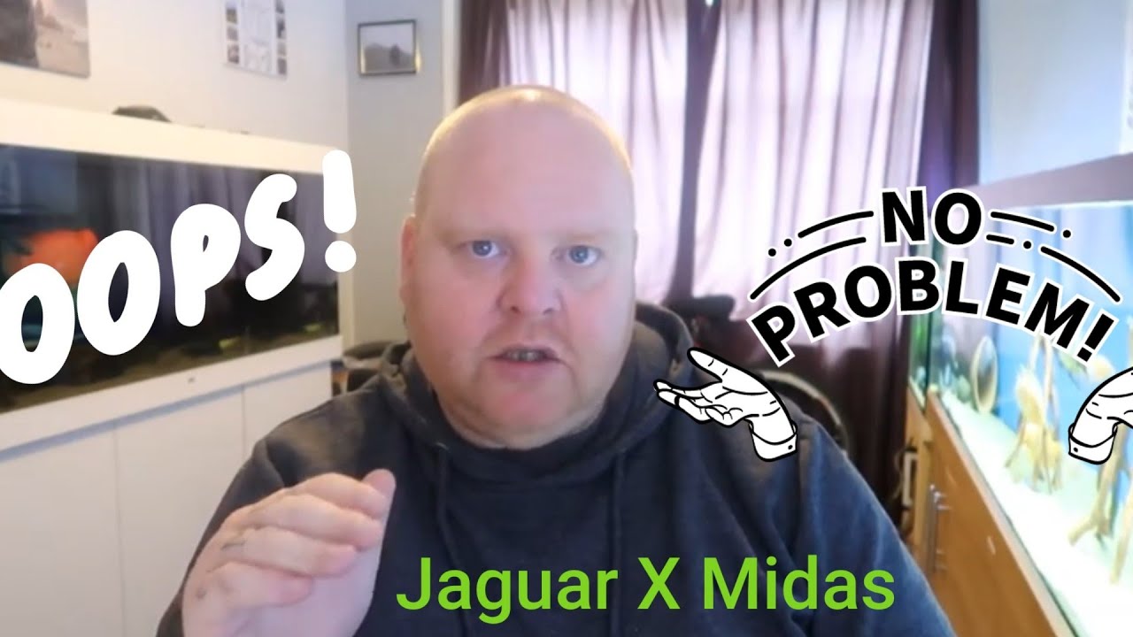 JAGUAR X MIDAS CICHLIDS. UNWANTED HYBRIDS