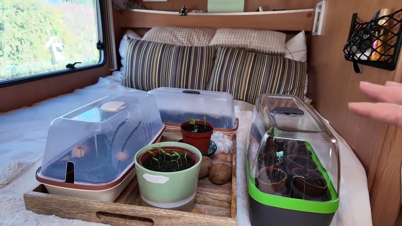 Gemüseanzucht im Wohnmobil #vollzeitvanlife  #CamperLife 
