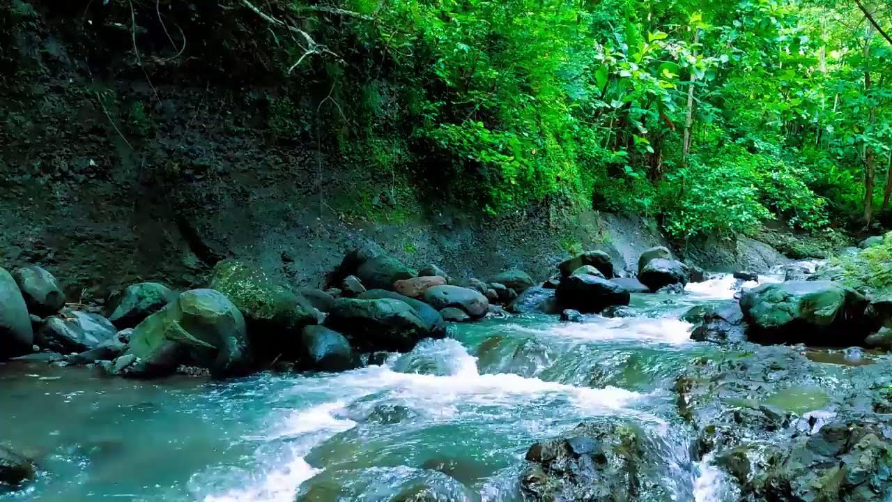 Calm Mountain River Flow - Soft sounds of tropical forest - Relaxing Sounds For sleeping