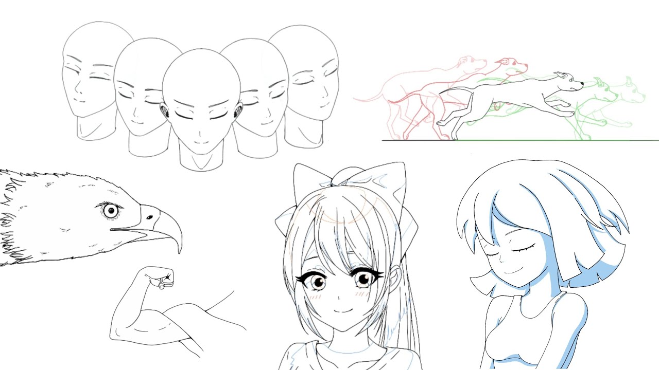 Month - 2 of My Animation Learning Journey | Watch My Progress. ( Mobile Animation ). 