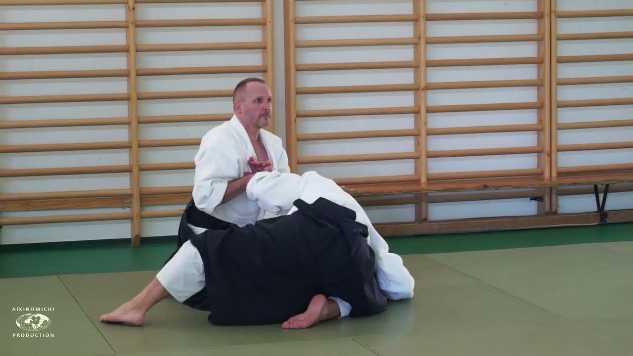 Aikido: Stephane Goffin Balaton Seminar 2023 Summary
