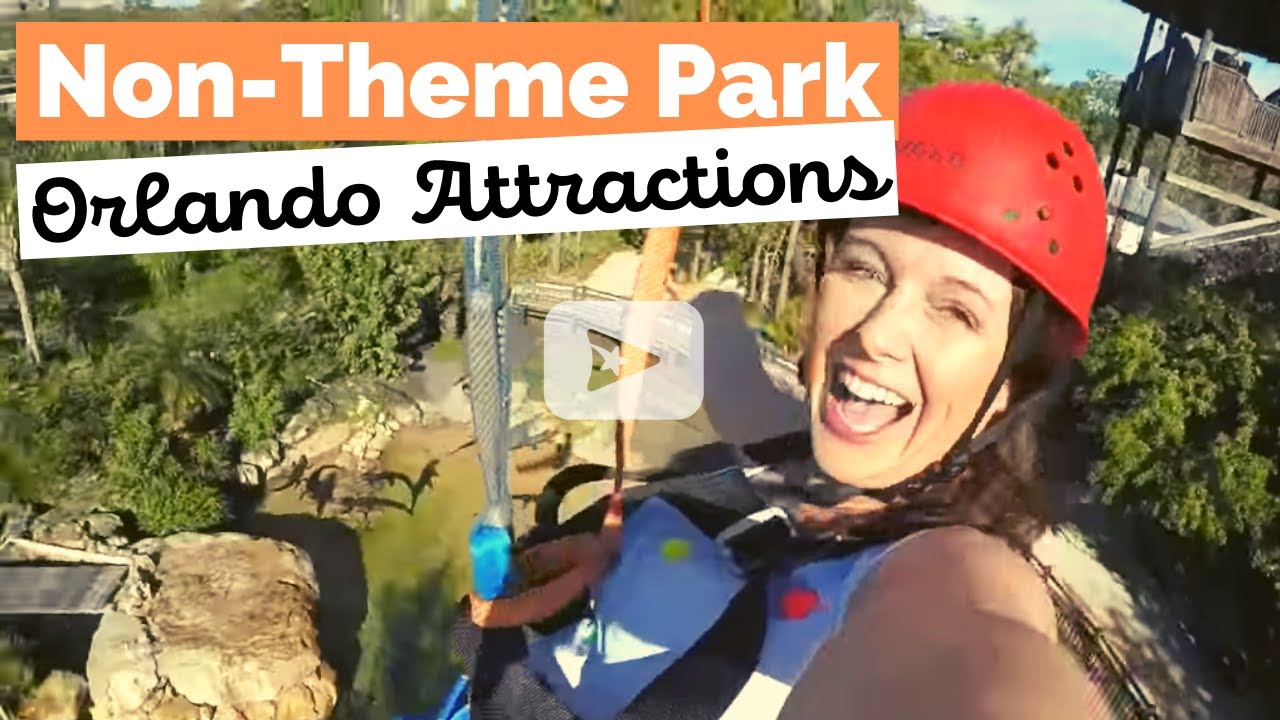 Top 5 Non-Theme Park Things to Do in Orlando
