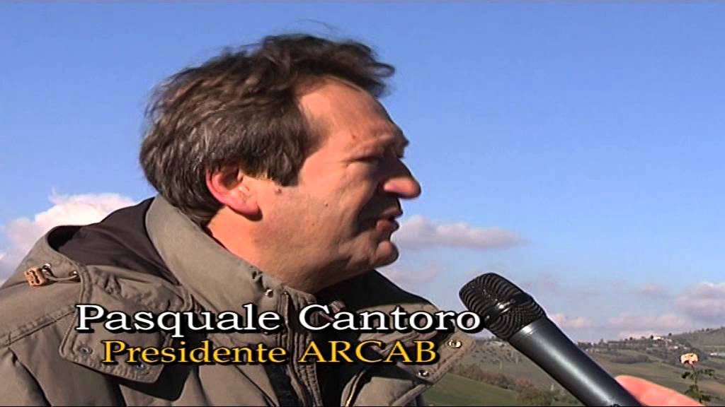 La Marchigiana: conosciamola meglio!