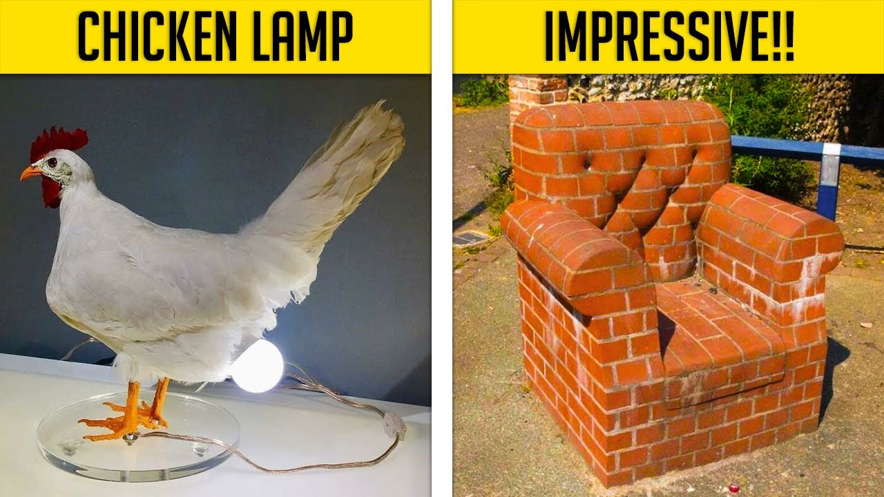 Funny People With Awful Ideas… That Actually Worked!
