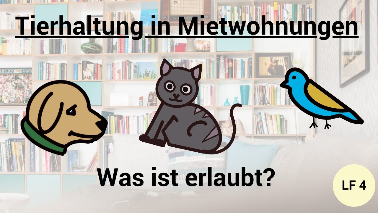 Tierhaltung in Mietwohnungen, was ist erlaubt? Hund, Katze, Maus?