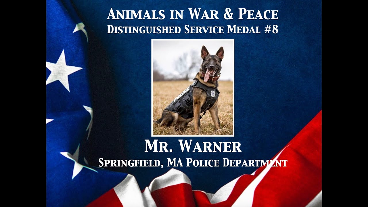 Mr. Warner - Animals in War & Peace Distinguished Service Medal #8 (2025)