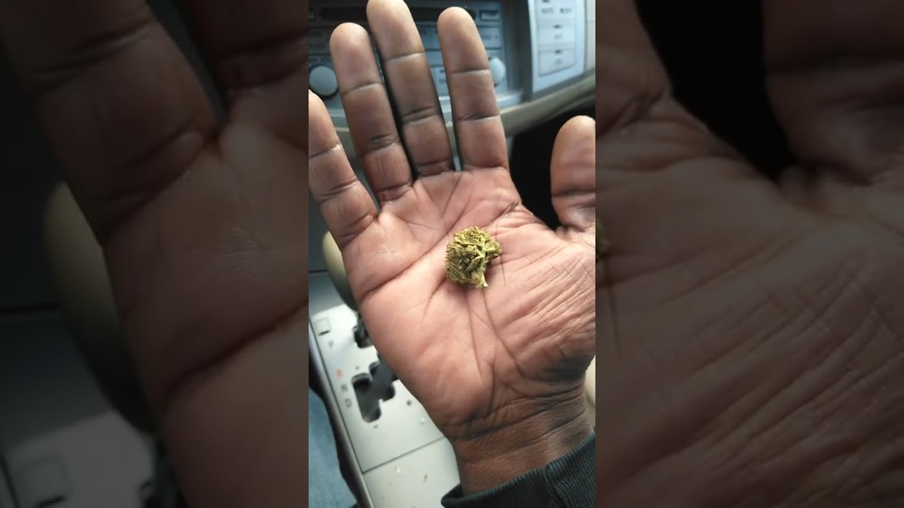 Champagne Cush &bull; THC &bull; Weed