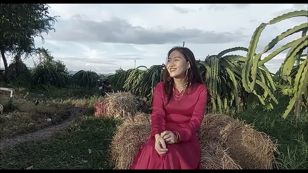 TÌNH CA GIẾNG NƯỚC CÂY BÀNG - THẢO SAKAYA ft NHẬT NGUYỄN