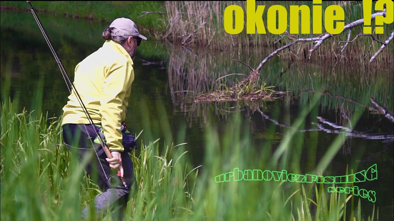 OKONIE i inne na NIMFĘ czyli MUCHA Majowa! UFseries [4K]