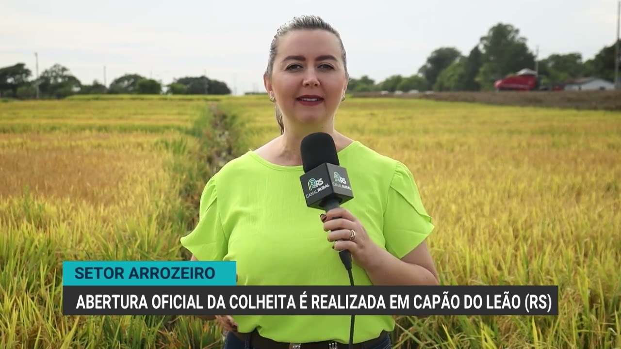 Abertura oficial da colheita é realizada em Capão do Leão (RS)