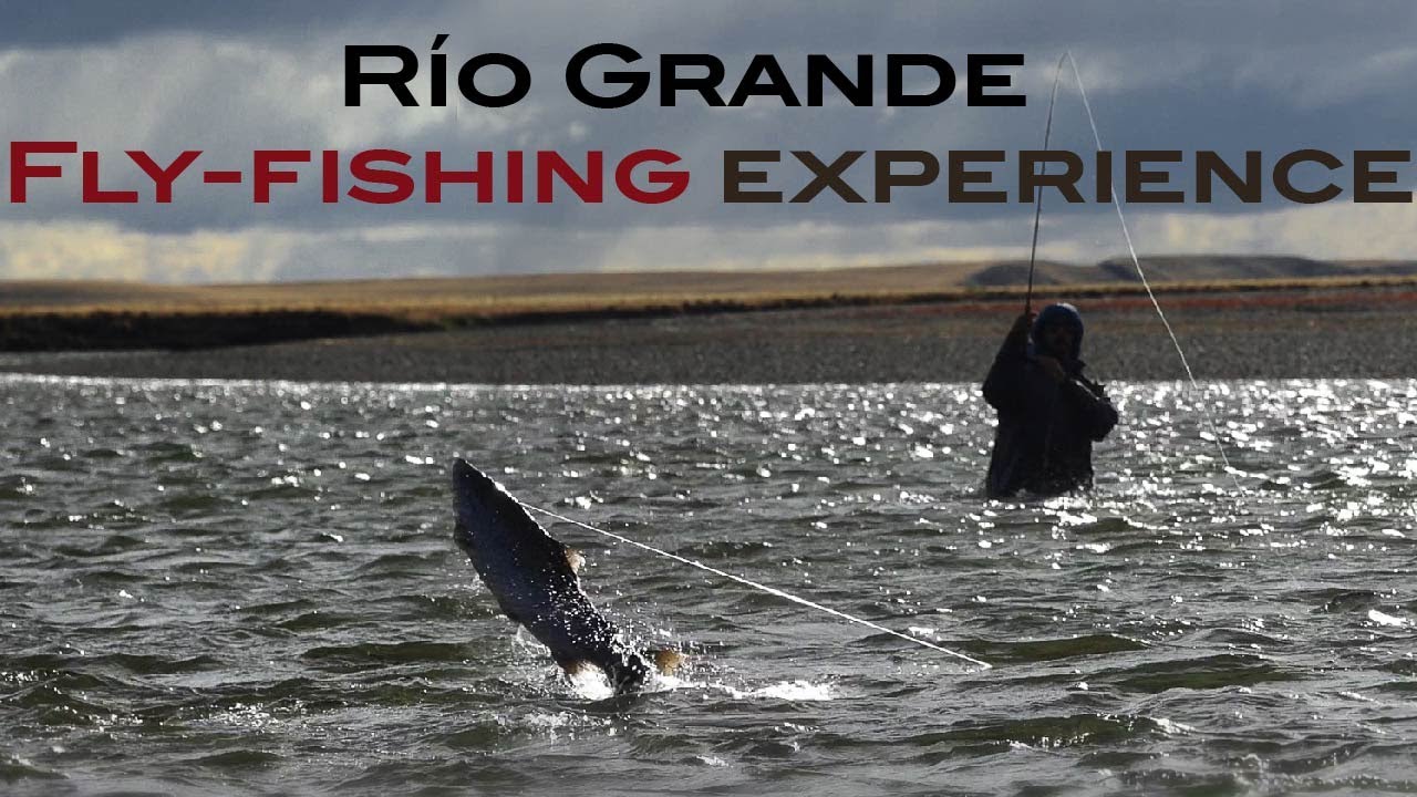 Fly fishing Giant Sea-run trout at Villa María Lodge - Argentina 2019