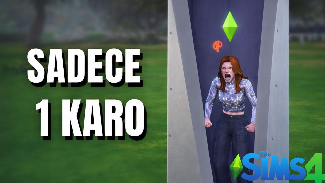 Sadece 1 Karoda Hayatta Kalabilir Miyim?! 😱 | Sims 4 Box Challenge