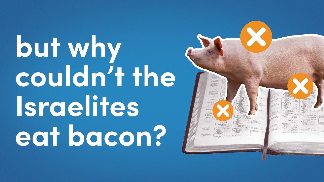 Weird Food Laws & God’s Purpose