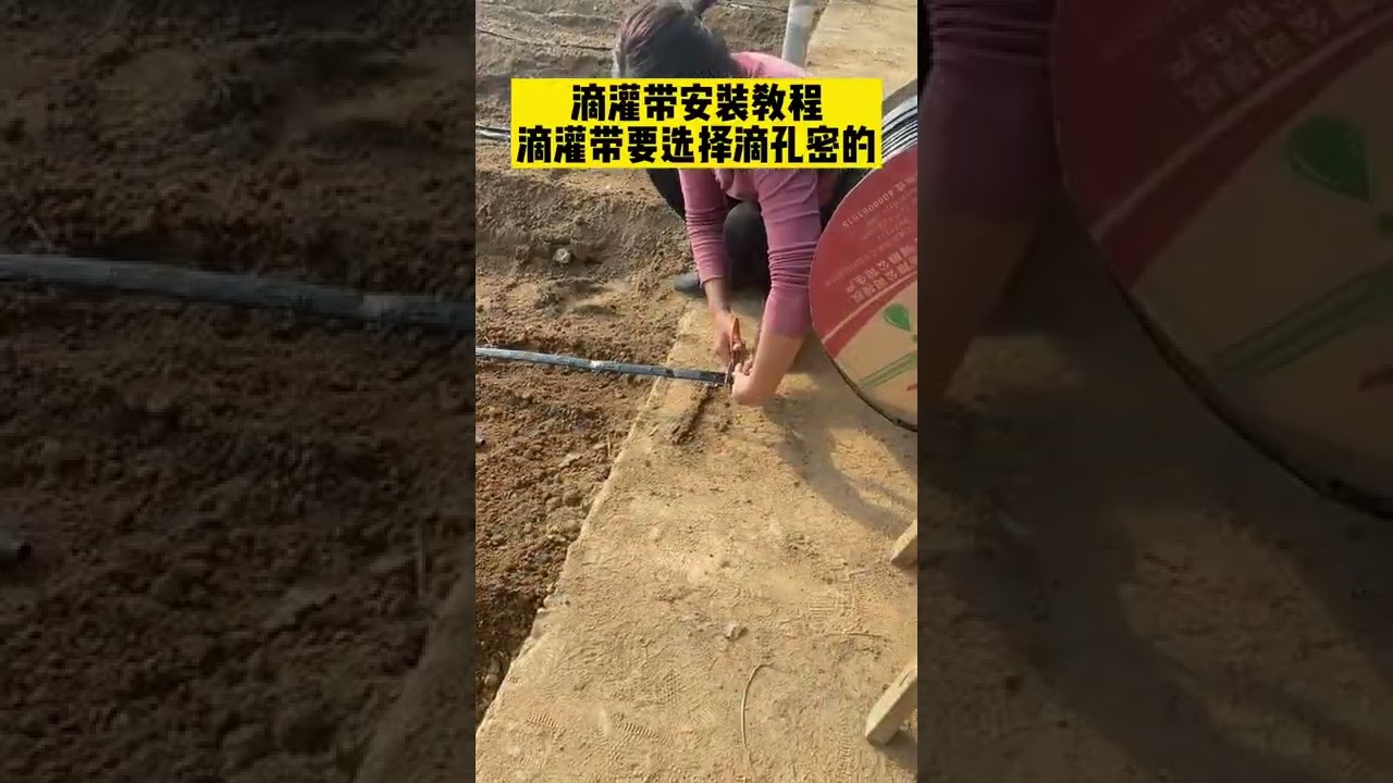 滴灌带怎么安装，怎么选择#滴灌 #节水灌溉 #农业种植技术 #温室大棚 #种植技术 #农业技术 #现代农业 #蔬菜种植 #新农人计划2022