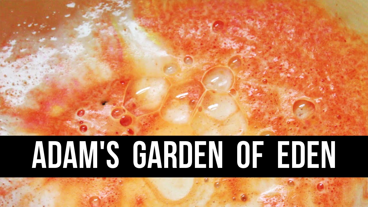 Royal Review : Adam's Garden of Eden | Royalty Soaps