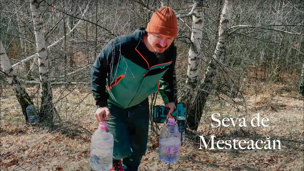 Viața Simplă din Pădure: Muncă, Natură și Câini  Loiali - Ep313