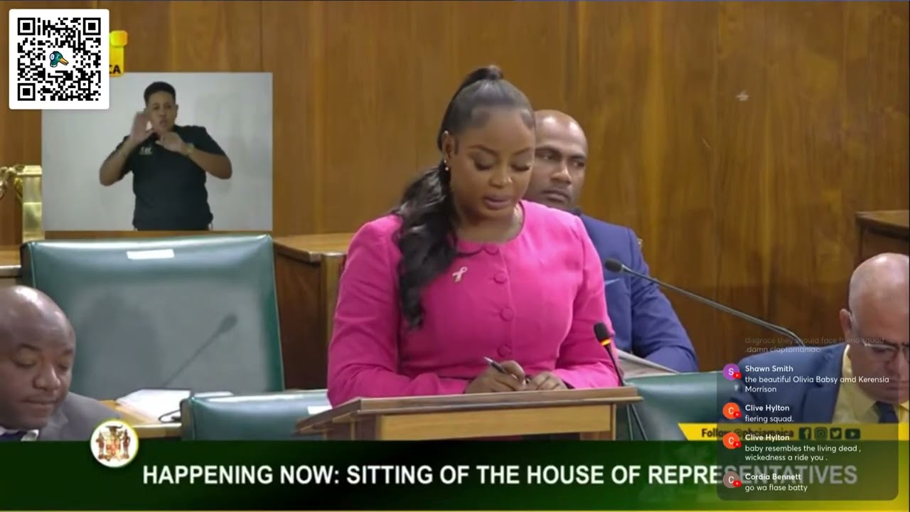 PNP MP Nickiesha Burchell Sitting of the House of Representatives