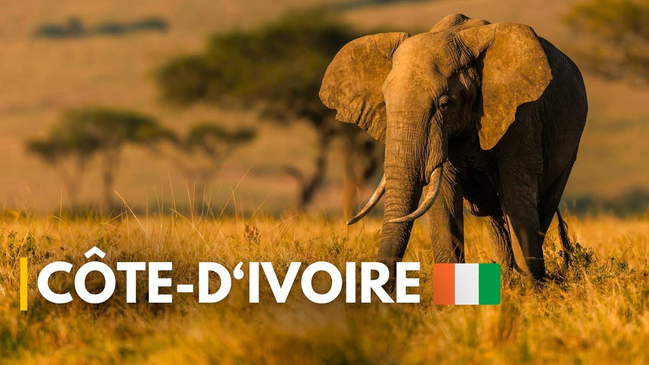 CÔTE D'IVOIRE 🇨🇮: 10 meilleurs lieux à visiter dans le pays