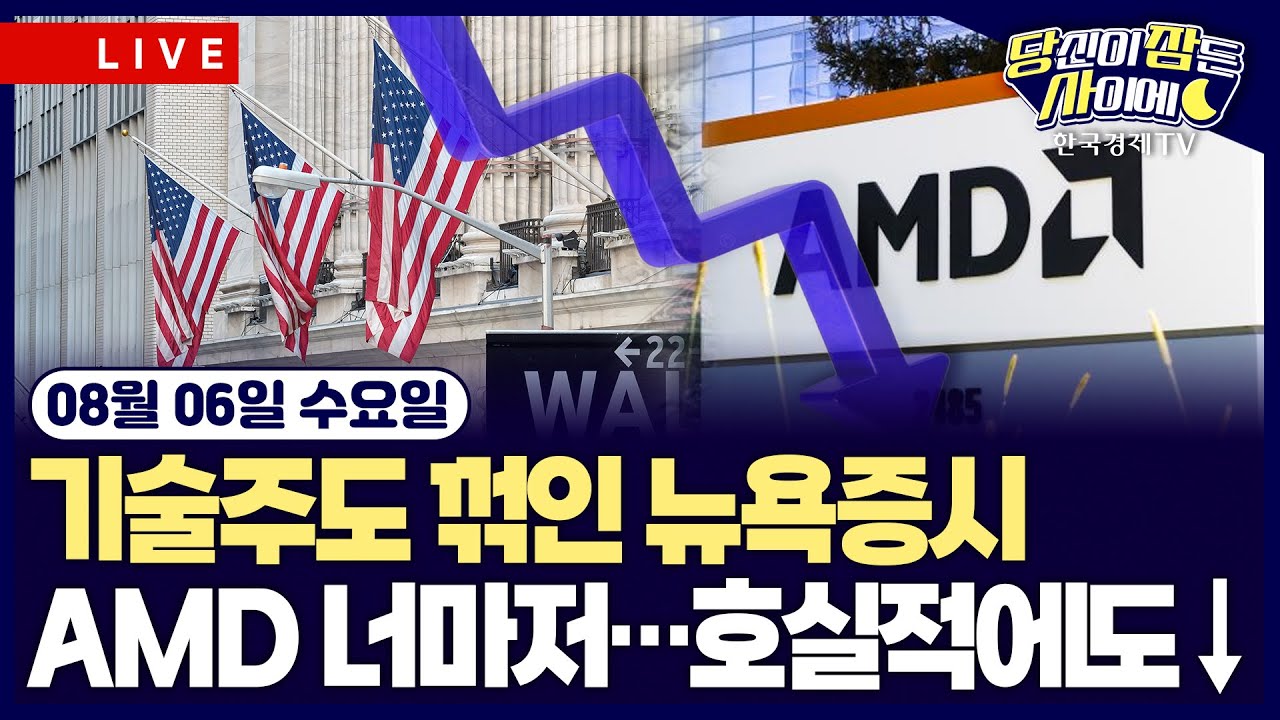 [🔴08/06 #당잠사] 기술주도 꺾인 뉴욕증시ㅣAMD 너마저…호실적에도 ↓