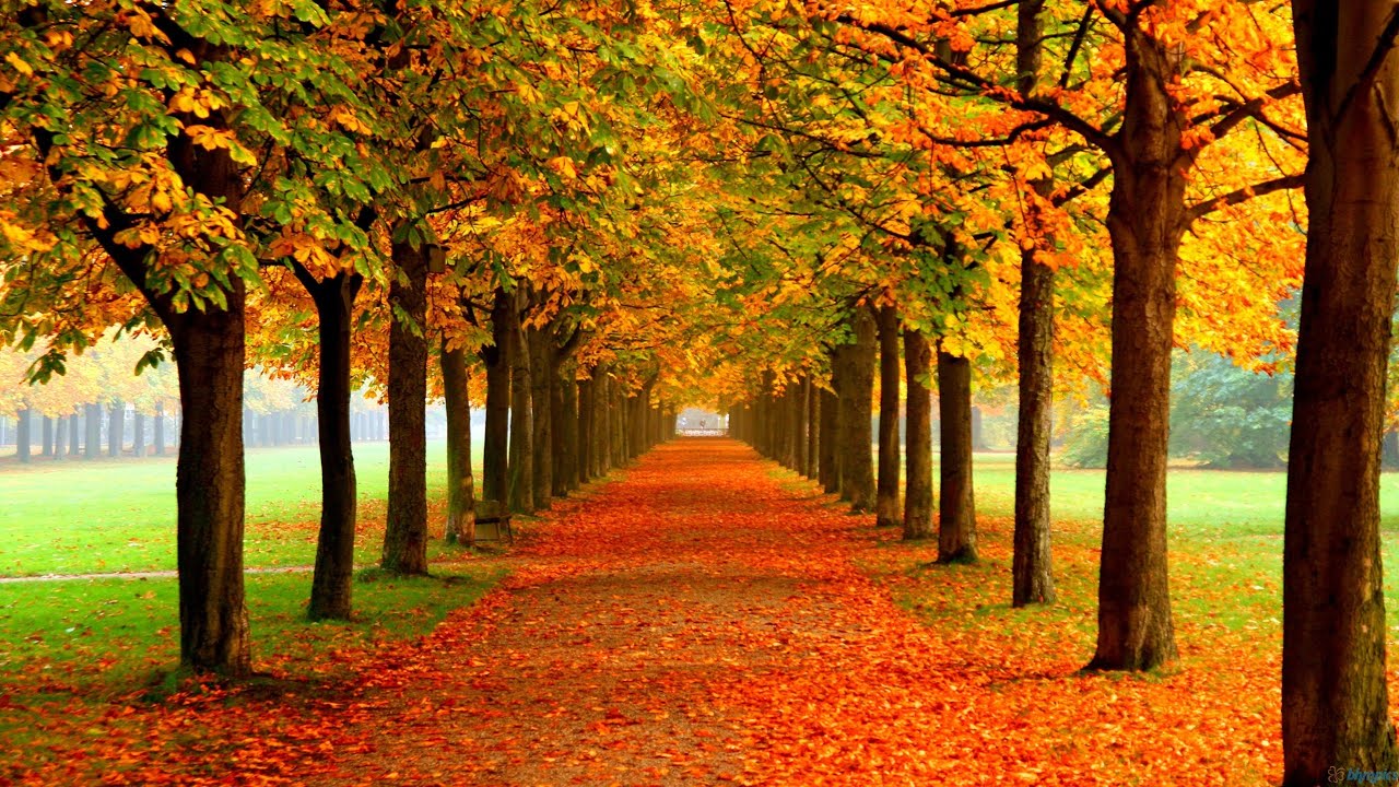 Autumn, Rain and Beauty of Nature / منی، باران او د طبعيت ښکلا