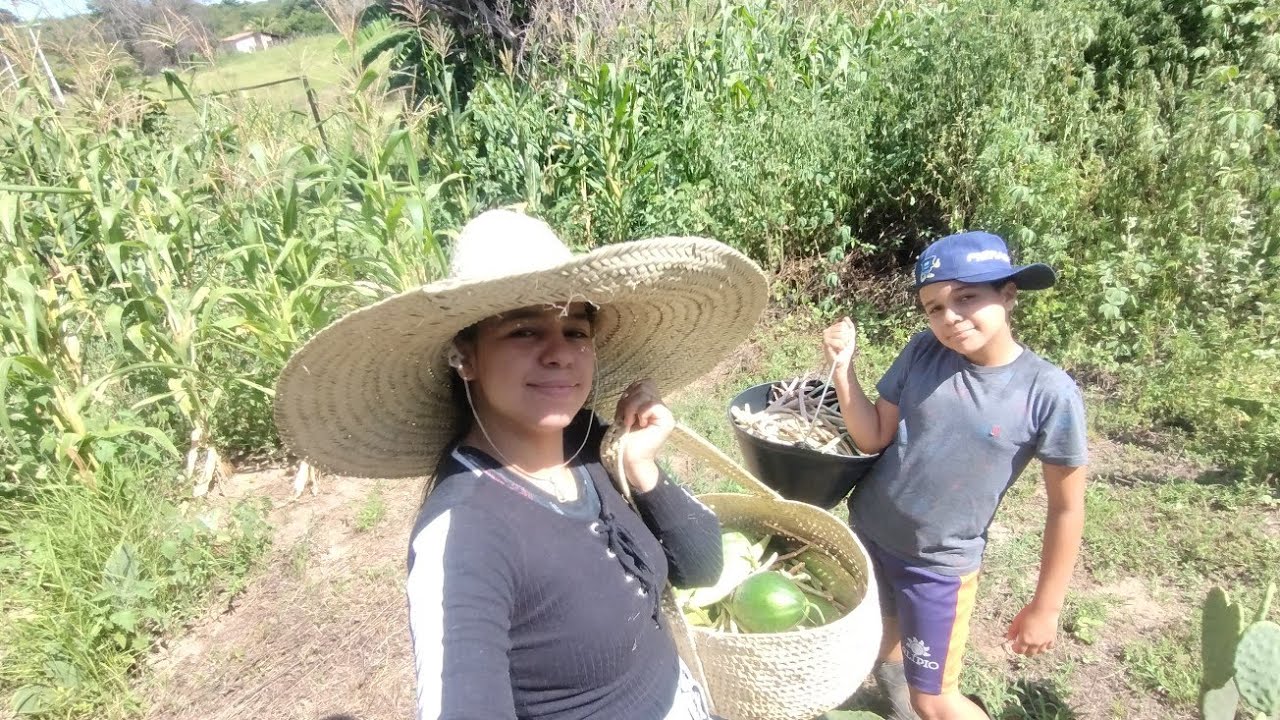 Colhi feijão Verde + milho 🌽+carapiju churrasco Air fryer //Almoço de domingo 