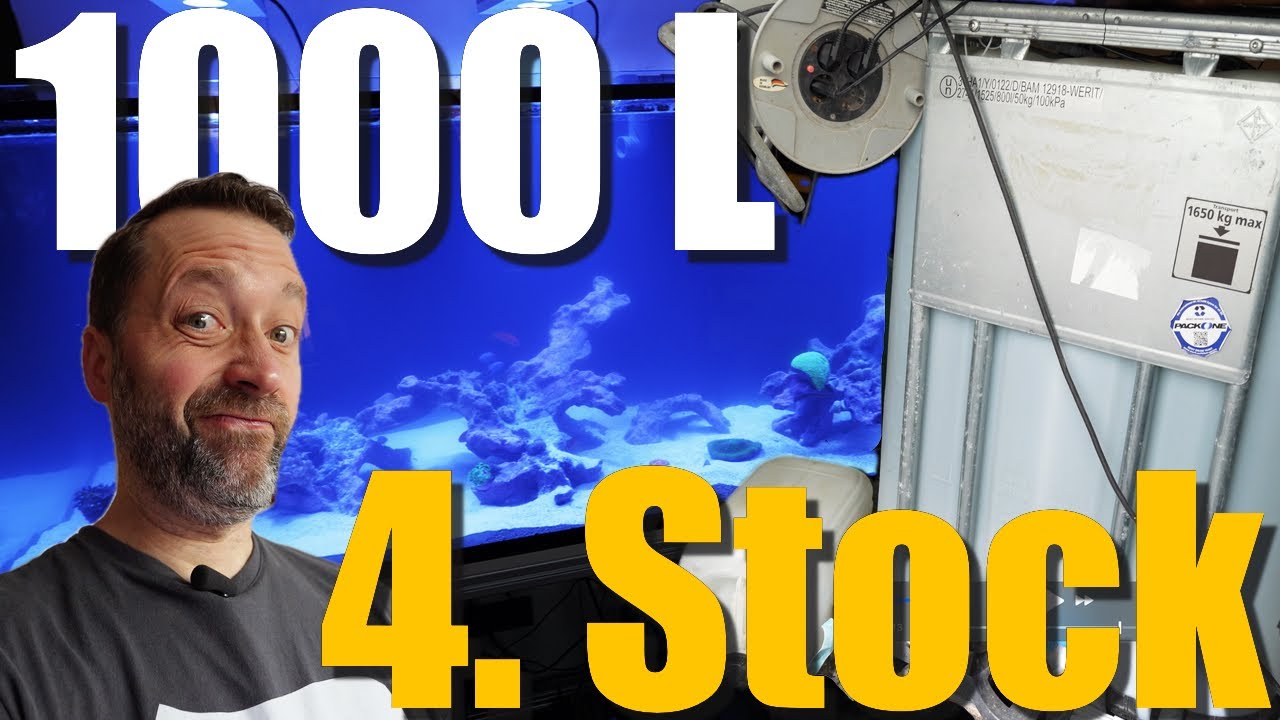 220x65x65 Meerwasseraquarium wird geflutet + erste Tiere + Lager VLOG