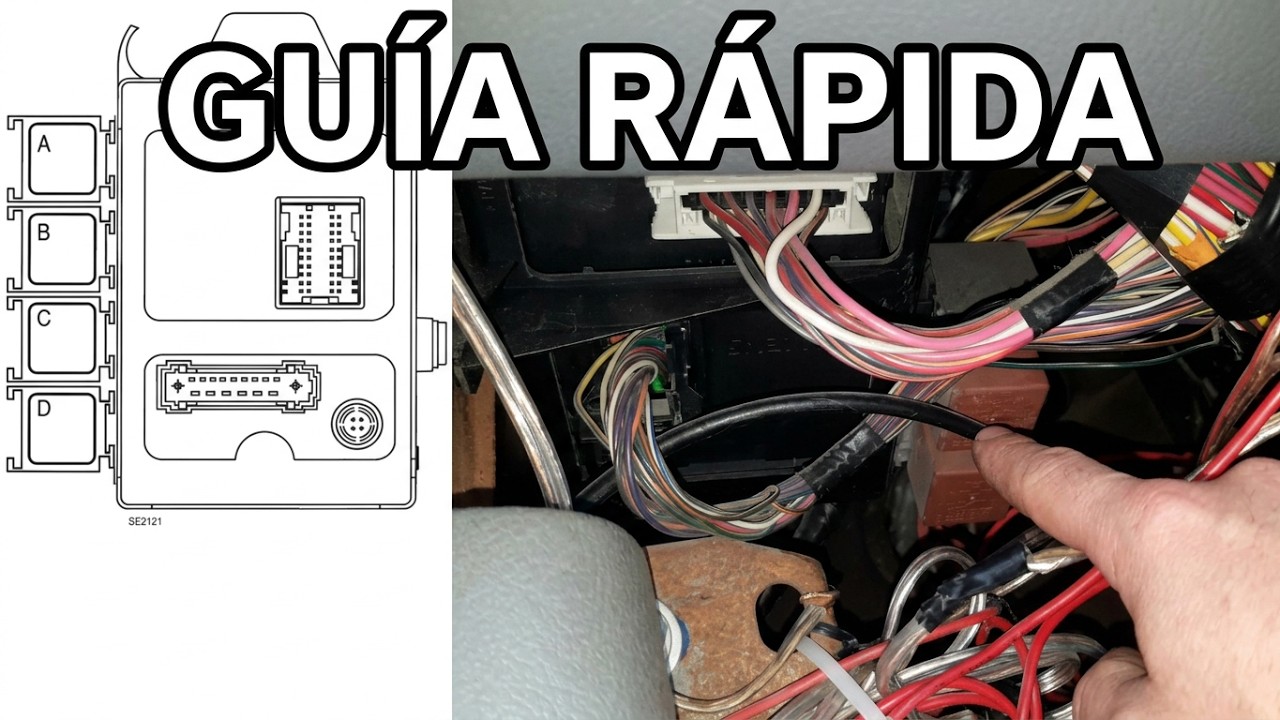 Relevadores del compartimento de pasajeros en un Platina o clio #platina #clio