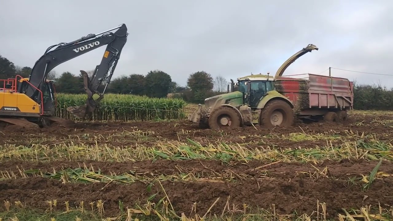 Ensilage maïs 2K24 en condition difficile