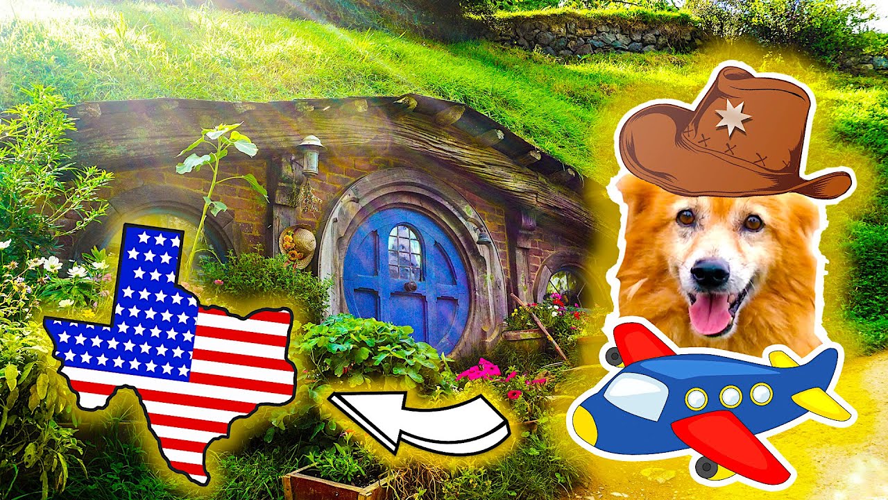 Dog visits HOBBITON and then HE flights to TEXAS!