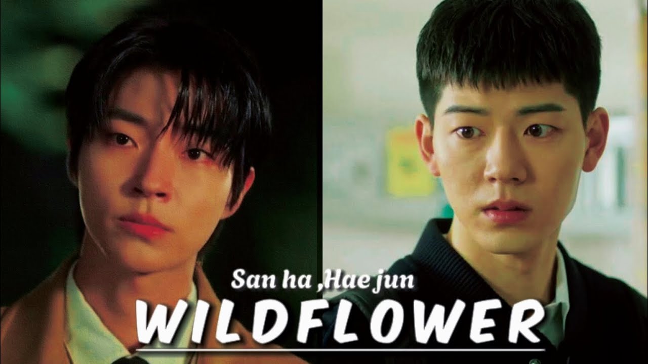 Wildflower ft. Kim San ha and Hae jun | Family By Choice