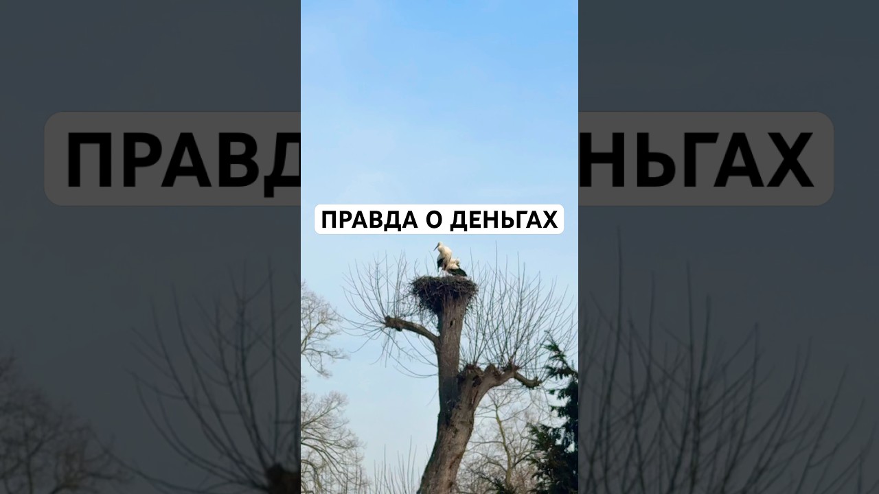 Жесткая правда о деньгах, которую все знают.