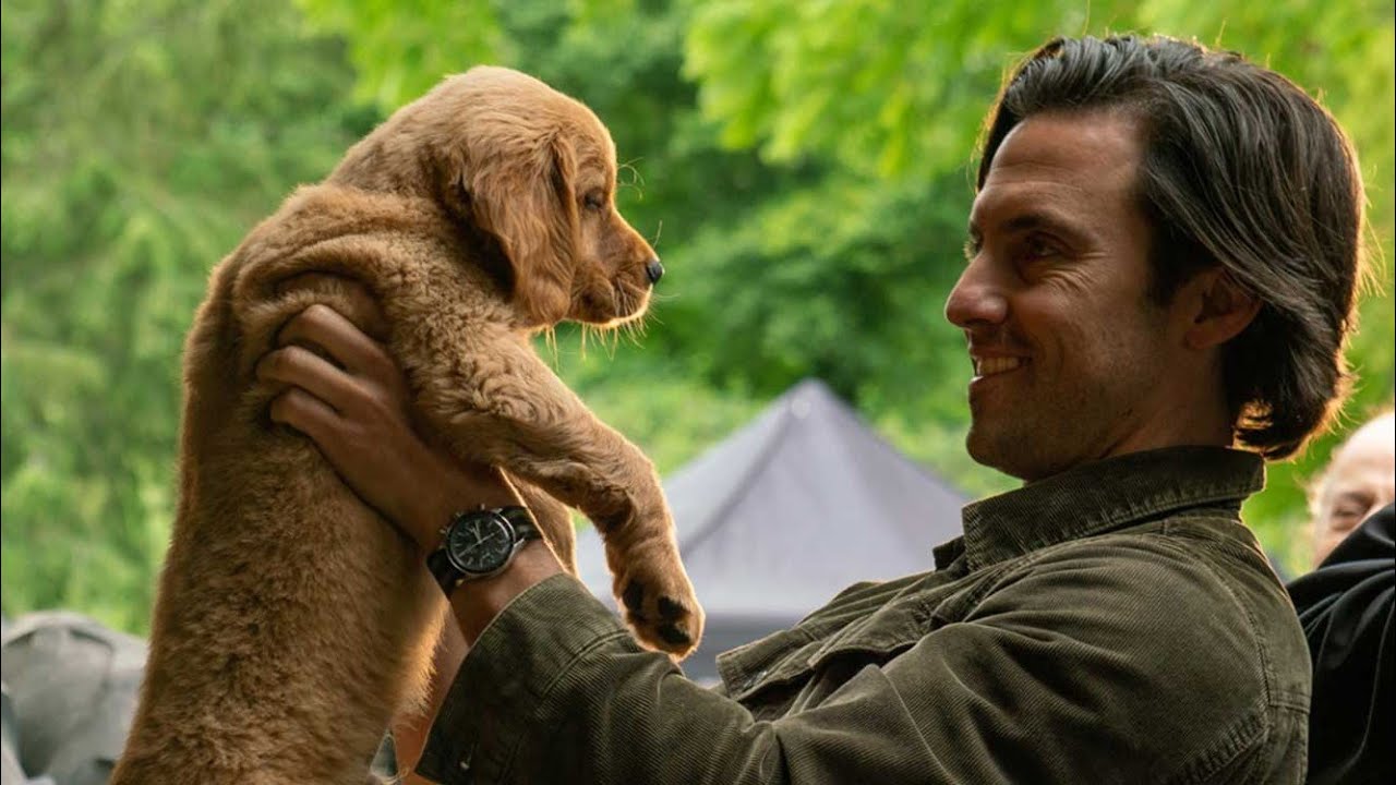 【傑作犬映画】おすすめ映画レビュー『エンツォ レーサーになりたかった犬とある家族の物語』【解説/予告】