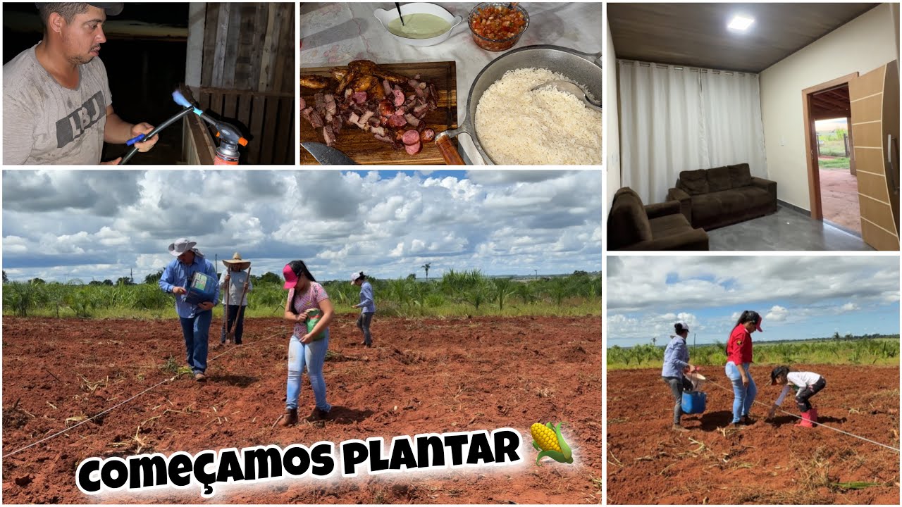 COLOCAMOS AS CORTINAS NOVAS *ficaram lindas😍*| COMEÇAMOS PLANTAR NA NOSSA ROÇA 🌽