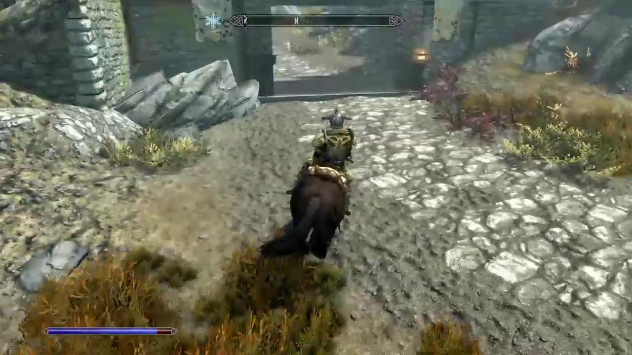 SKYRIM