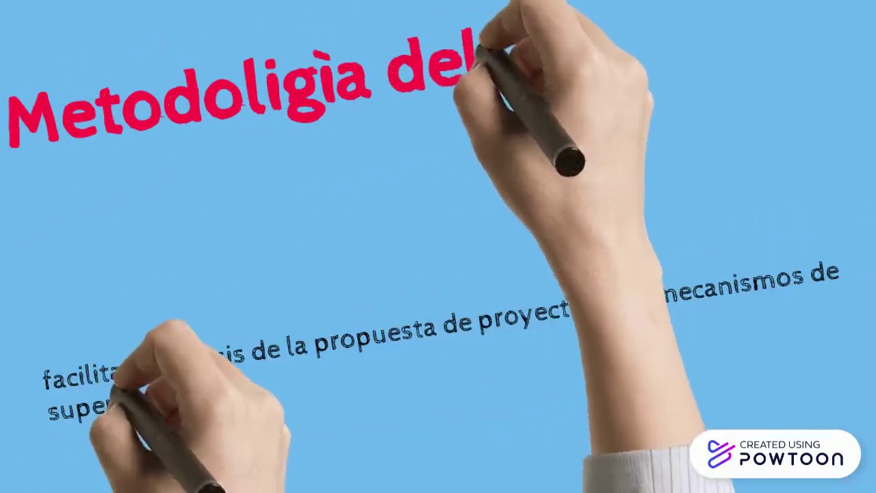 Plan de control