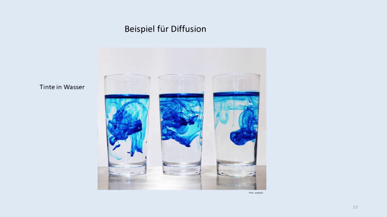 Wasserdampfdiffusion, was ist das eigentlich?