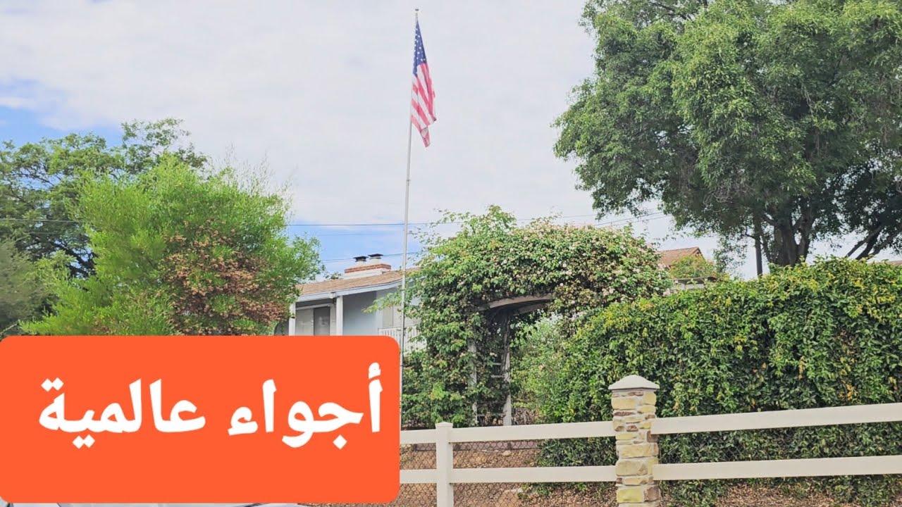 أجواء عالمية في أمريكا #كاليفورنيا 