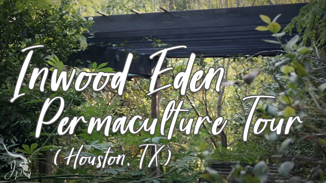 Permaculture Garden Tour -  Inwood Eden (HTX)