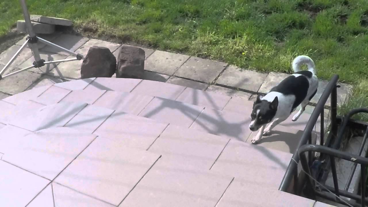 Super SlowMotion 3