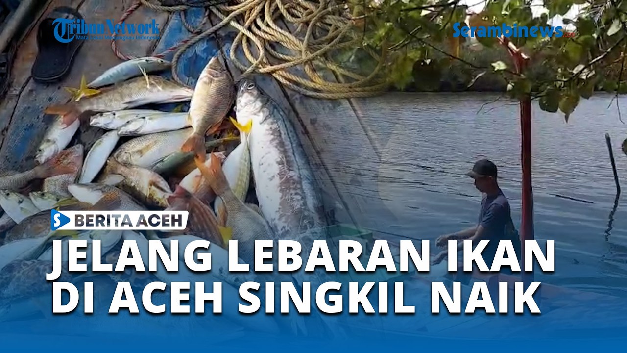 Jelang Lebaran, Harga Ikan di Aceh Singkil Naik Rp 5 Ribu Per Kg