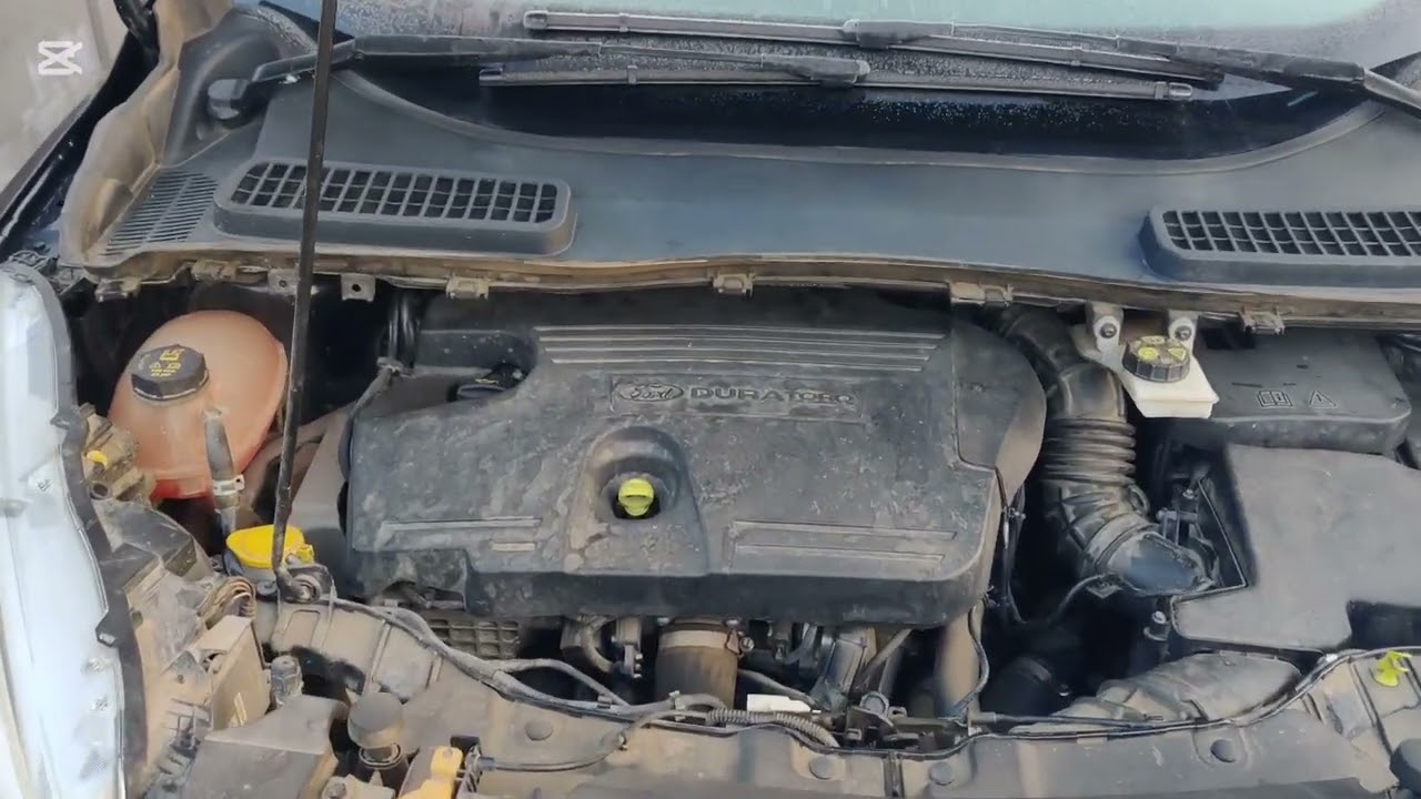 Ford Kuga(Escape), 2.0 Diesel, 2017, 120.500 km(75.000 miles),  -9°C cold start and engine sound