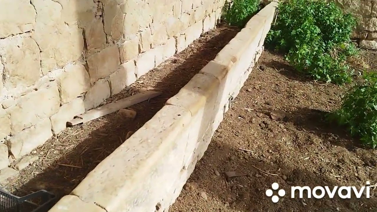 ЦИВИЛИЗАЦИЯ НАСТРОИЛА ФЕРМ ДЛЯ КОРОВ, НО КОГДА⁉️