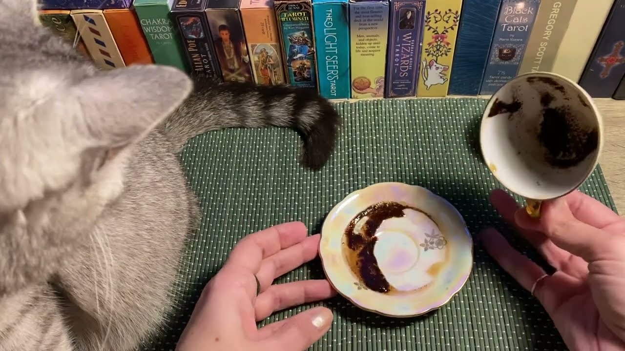 Філіжанка без теми! Таємниці з філіжанки кави ☕️