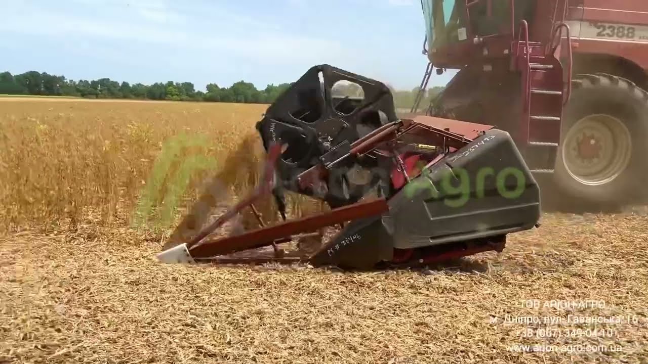 Робота жатки Case IH 1020 Flex з комбайном Case IH 2388