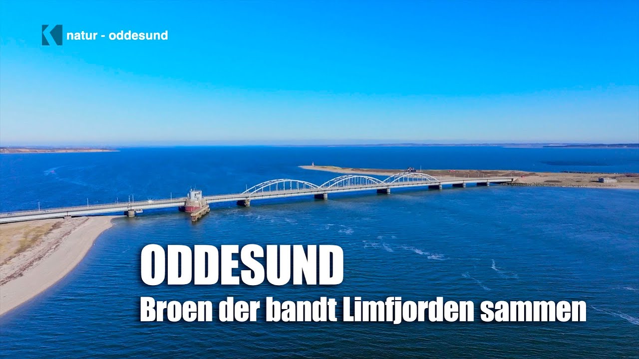 Oddesund – broen, fjorden og historien der bandt Limfjorden sammen