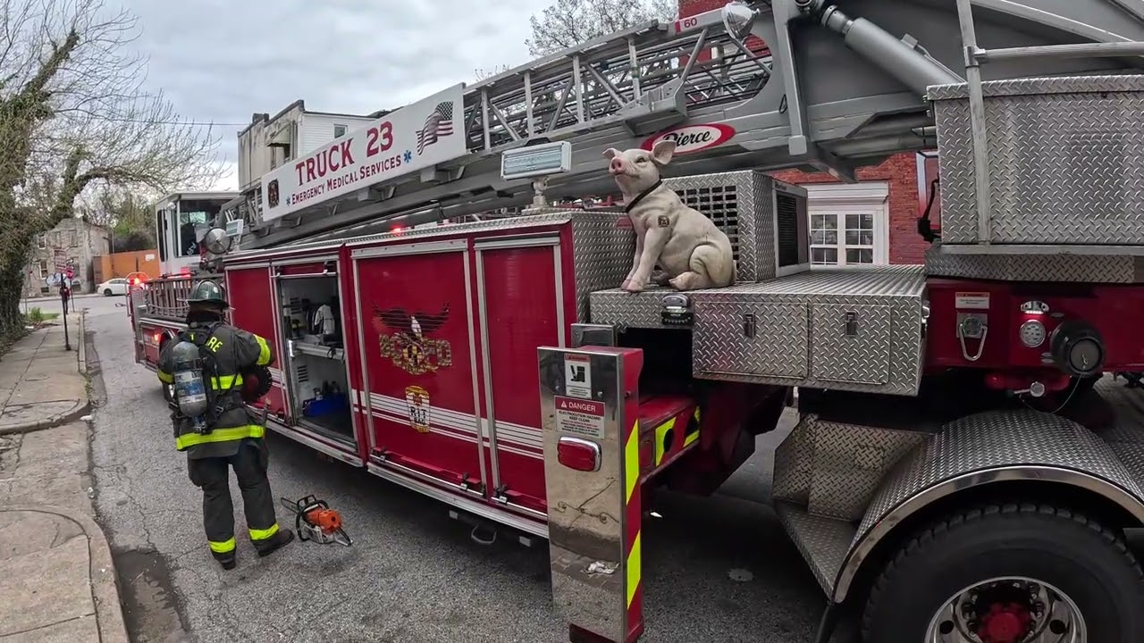 A Saturday in Baltimore City, Maryland 4-12-25