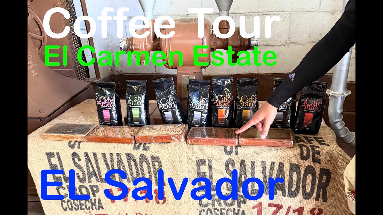 El Salvador Travel 🇸🇻  | Coffee Tour at El Carmen Estate
