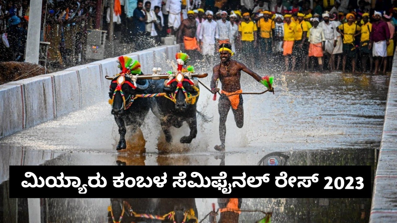 Miyar Kambala Semi Final Race 2023 | Namma Kambala